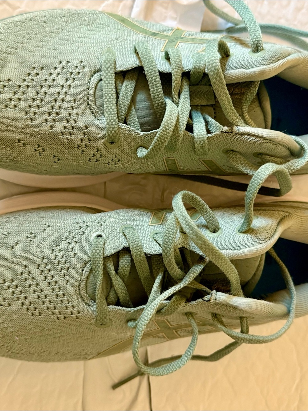 Asics Women's Light Sage Green Knit Running Sneakers